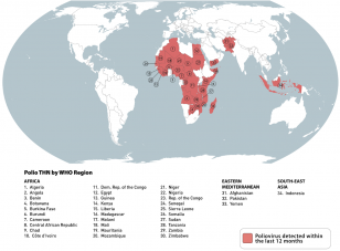 Mapa polio mundo